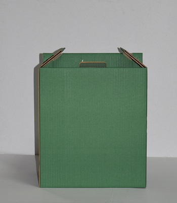 caja-lotes-verdes